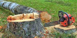 Best Tree Cabling and Bracing  in Eastmont, WA
