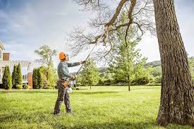 How Our Tree Care Process Works  in  Eastmont, WA